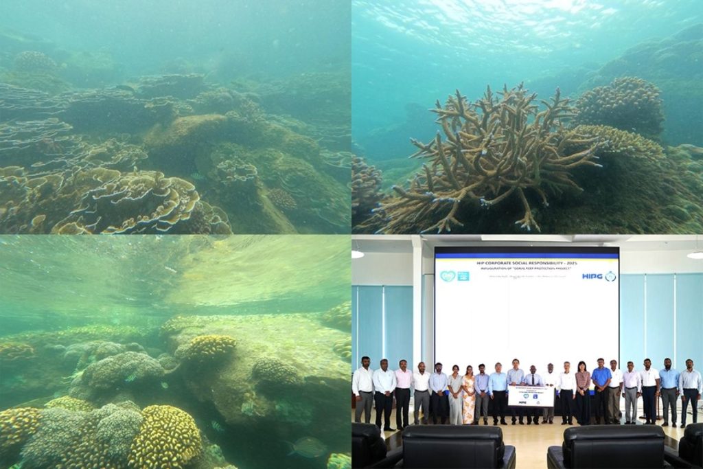 Coral species thriving undisturbed adjacent to HIP breakwater